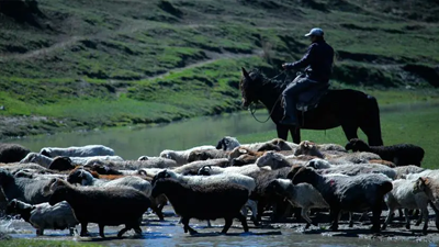 “一縣一周”農(nóng)產(chǎn)品展示展銷會(huì)三明專場(chǎng)在福州舉辦